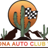 Arizona Checkered Cactus T-Shirt - Image 7
